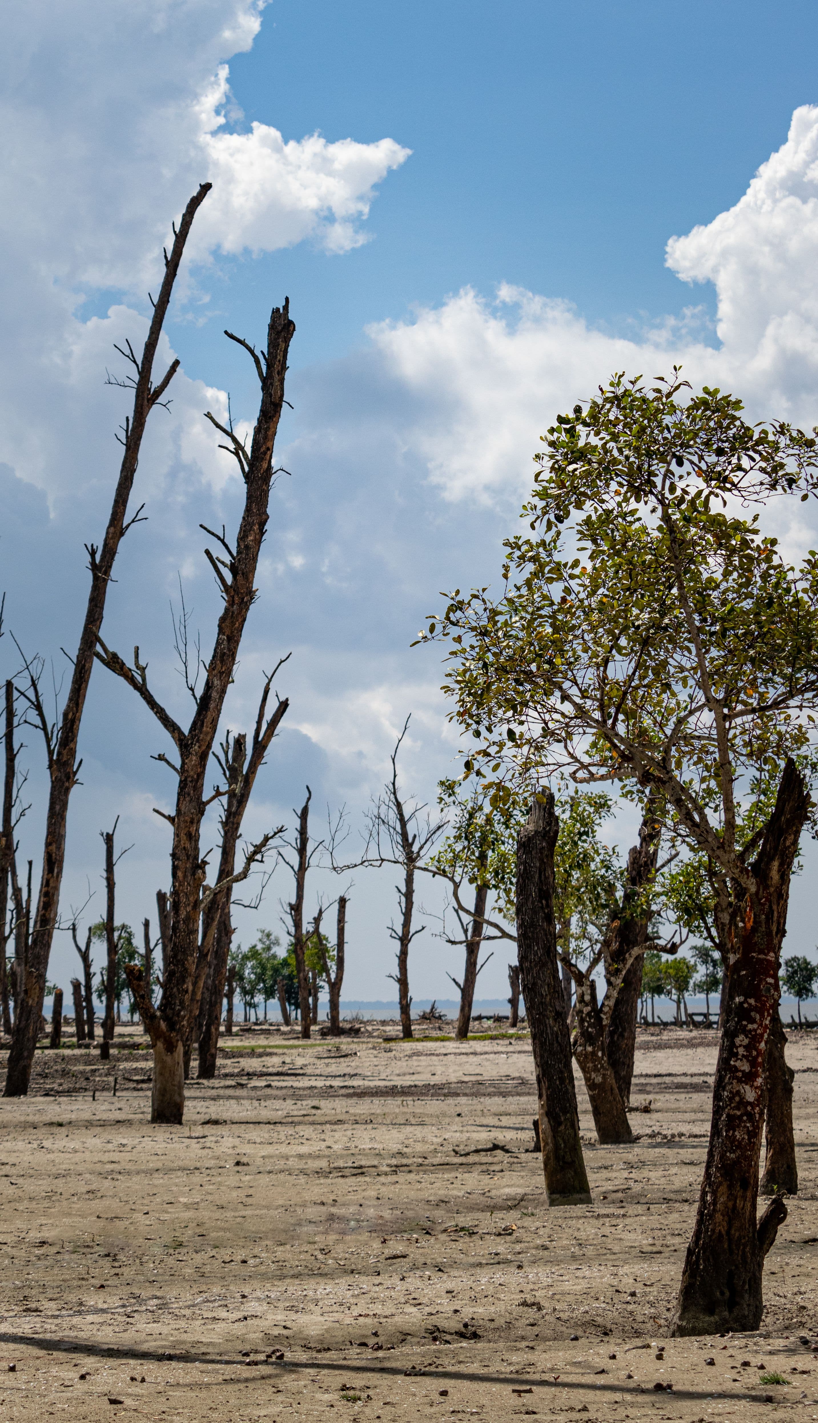 Climate Information and Digital Innovation